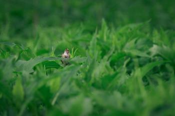 Fondo de Pantalla de pexels_12395533.jpg