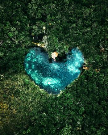 Fondo de Pantalla de pexels_13196944.jpg