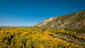 Fondo de Pantalla de pexels_14435764.jpg