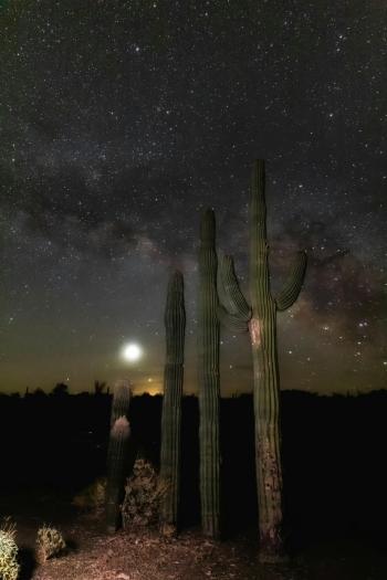 Fondo de Pantalla de pexels_12307156.jpg