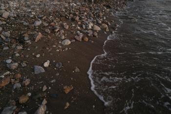 Fondo de Pantalla de pexels_14557287.jpg