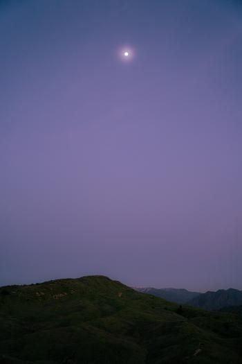 Fondo de Pantalla de pexels_15826964.jpg