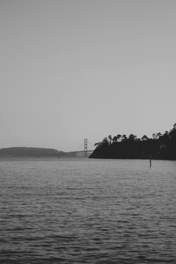 Fondo de Pantalla de pexels_19244111.jpg