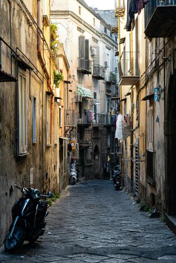 Fondo de Pantalla de pexels_30204894.jpg