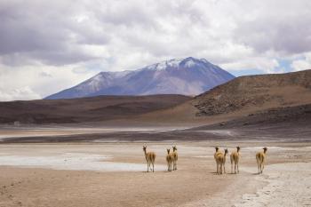 Fondo de Pantalla de pexels_7777898.jpg