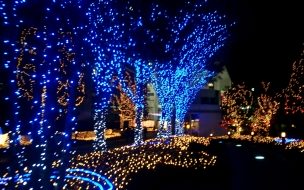 Fondo de pantalla hermosa decoracion en arboles