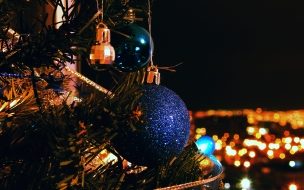 Fondos hd perfil de arbolito con adorno azul