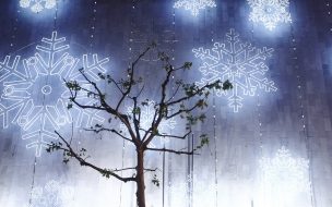 Fondo de pantalla arbol extraño