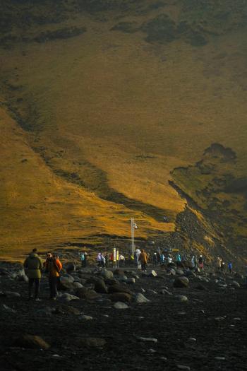 Fondo de Pantalla de pexels_29344020.jpg