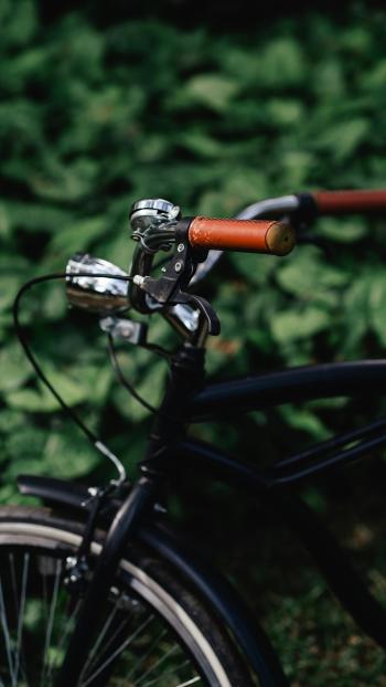 Fondo de Pantalla de pexels_18279017.jpg