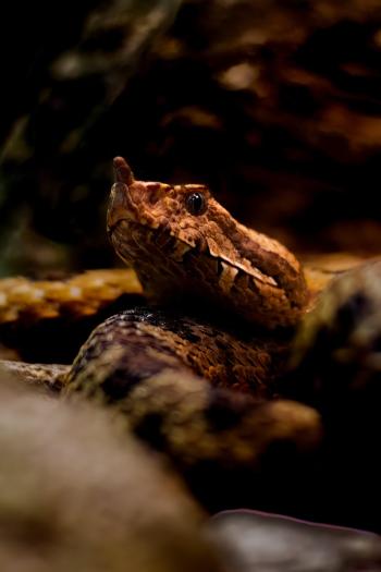 Fondo de Pantalla de pixabay_8362870.jpg