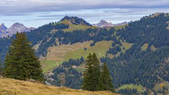 Fondo de Pantalla de pixabay_6792541.jpg