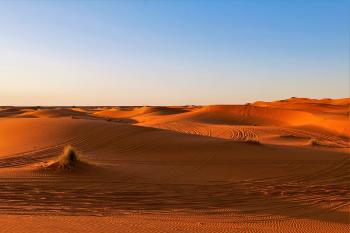 Fondo de Pantalla de pixabay_4953539.jpg