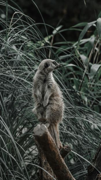 Fondo de Pantalla de pexels_9462806.jpg