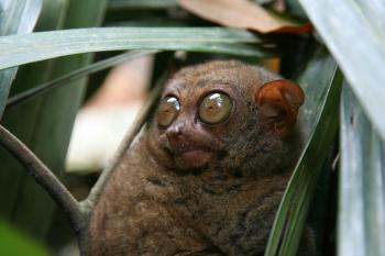 Fondo de Pantalla de pexels_8437665.jpg