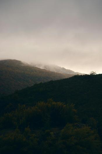 Fondo de Pantalla de pexels_30667857.jpg