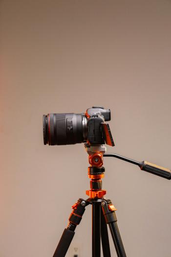 Fondo de Pantalla de pexels_30670957.jpg