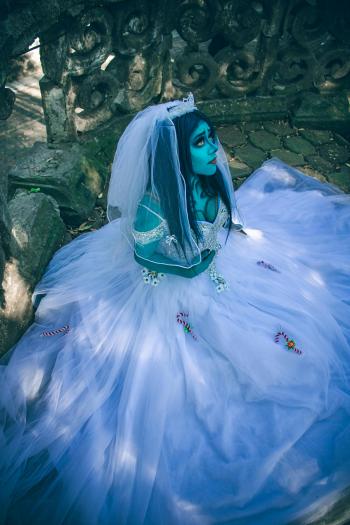 Fondo de Pantalla de pexels_30673259.jpg