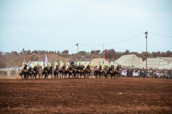 Fondo de Pantalla de pexels_30685186.jpg