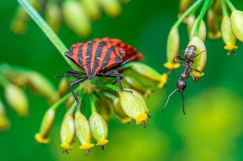 Fondo de Pantalla de pexels_30635575.jpg