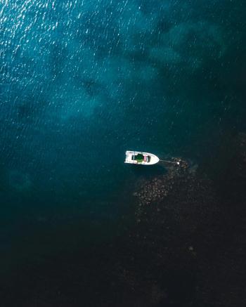 Fondo de Pantalla de pexels_30617591.jpg