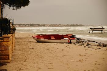 Fondo de Pantalla de pexels_30536585.jpg