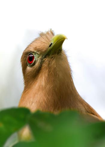 Fondo de Pantalla de pexels_30492866.jpg