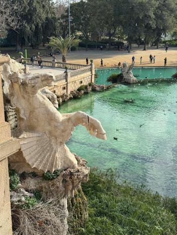 Fondo de Pantalla de pexels_30493011.jpg