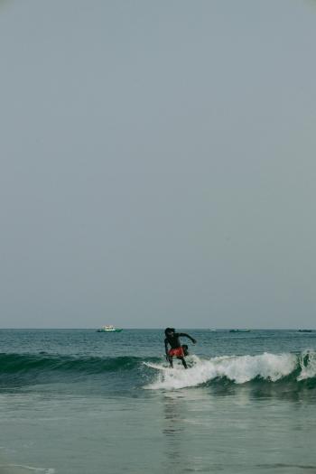 Fondo de Pantalla de pexels_30493372.jpg