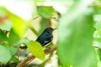 Fondo de Pantalla de pexels_30502185.jpg