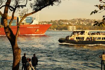 Fondo de Pantalla de pexels_30270601.jpg