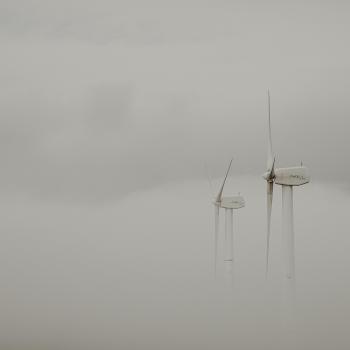 Fondo de Pantalla de pexels_30550052.jpg