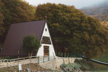 Fondo de Pantalla de pexels_29345981.jpg