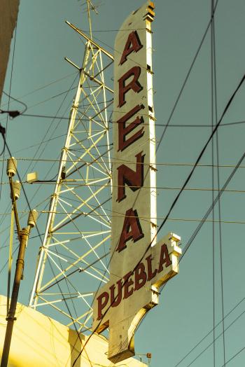 Fondo de Pantalla de pexels_29369514.jpg