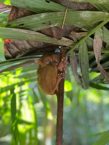 Fondo de Pantalla de pexels_28219618.jpg