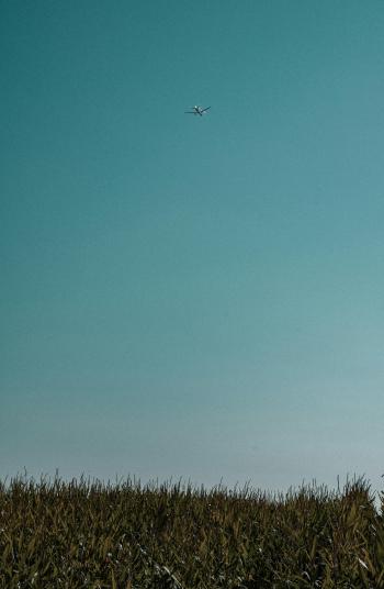 Fondo de Pantalla de pexels_28548861.jpg