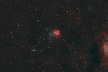 Fondo de Pantalla de pexels_27616841.jpg