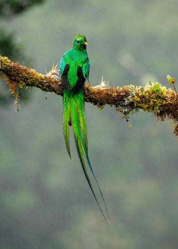 Fondo de Pantalla de pexels_28670074.jpg