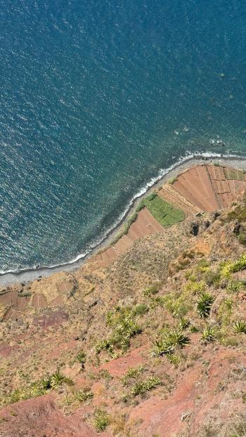 Fondo de Pantalla de pexels_27872081.jpg