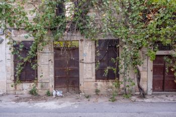 Fondo de Pantalla de pexels_18502794.jpg