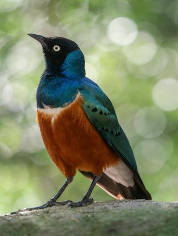 Fondo de Pantalla de pexels_19613769.jpg