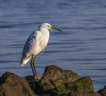 Fondo de Pantalla de pexels_18990972.jpg