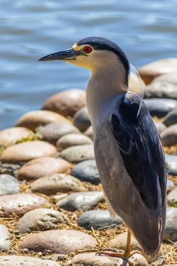 Fondo de Pantalla de pexels_17232549.jpg