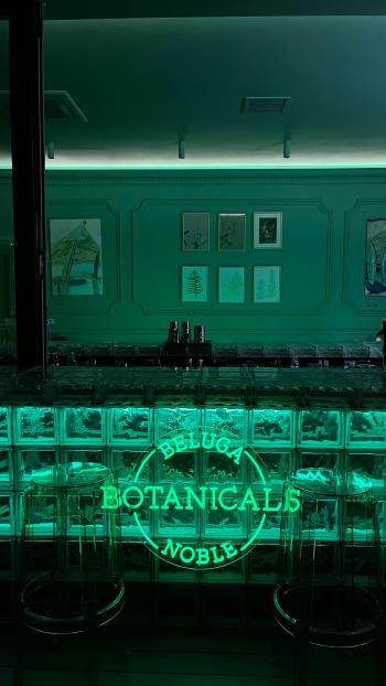 Fondo de Pantalla de pexels_17477986.jpg