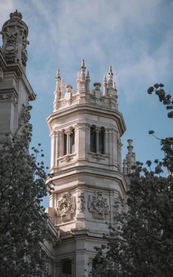 Fondo de Pantalla de pexels_16111925.jpg