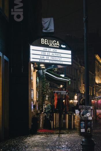 Fondo de Pantalla de pexels_15339056.jpg