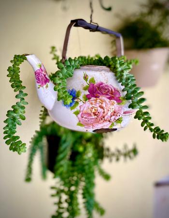 Fondo de Pantalla de pexels_12168994.jpg