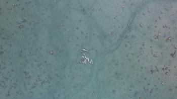 Fondo de Pantalla de pexels_12630214.jpg