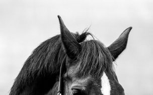 Pexels michael urrego