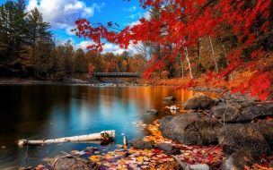 Autumn forest 2560x1440 4k hd wallpaper leaves trees lake rocks beach